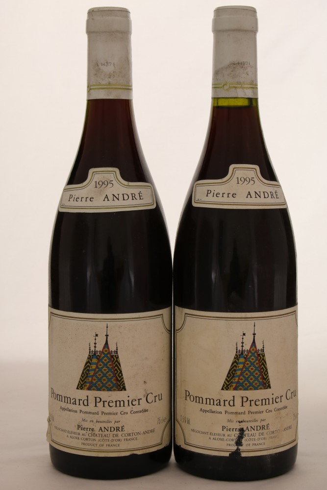 Pommard 1-er Cru 1995 Pierre Andre-0