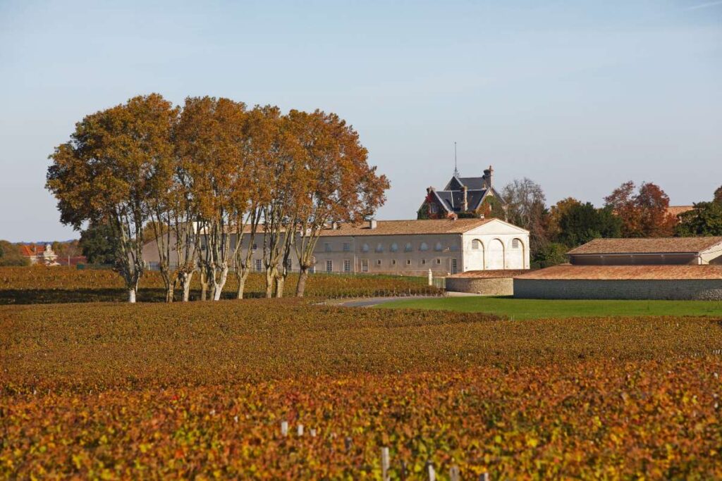 Viñedo Mouton Rothschild