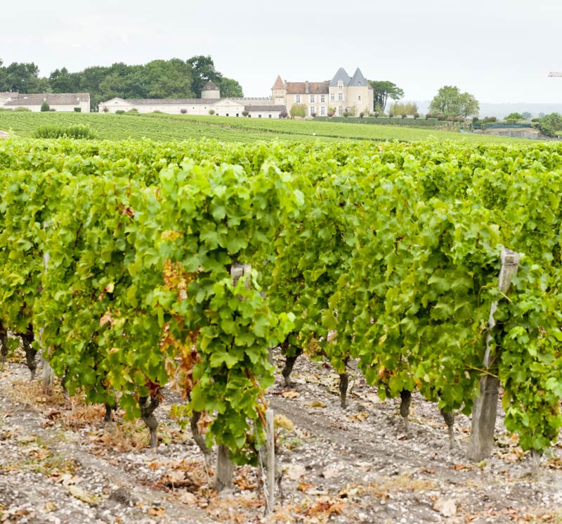 Terruño D'Yquem